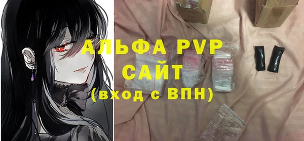 стаф Балахна