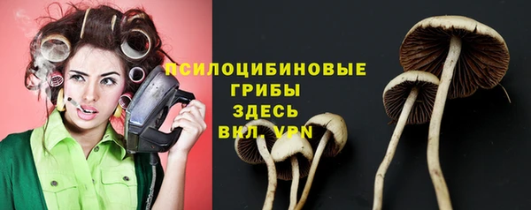 молекула духа Аркадак