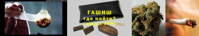 стаф Балахна