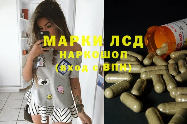 сатива Баксан