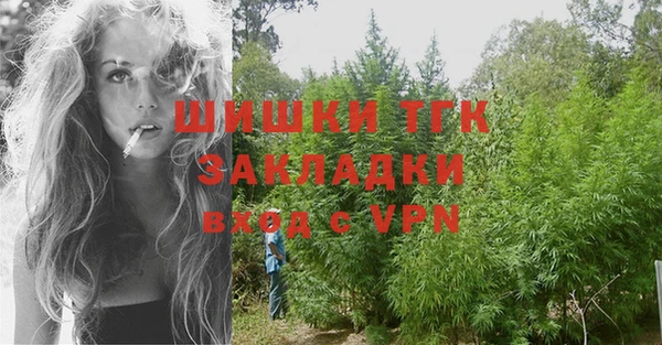 ГАЛЛЮЦИНОГЕННЫЕ ГРИБЫ Арсеньев