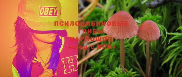 молекула духа Аркадак