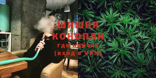 молекула духа Аркадак