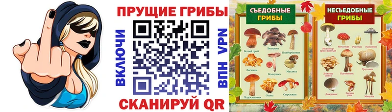 цены   Красноярск  Галлюциногенные грибы Psilocybe 